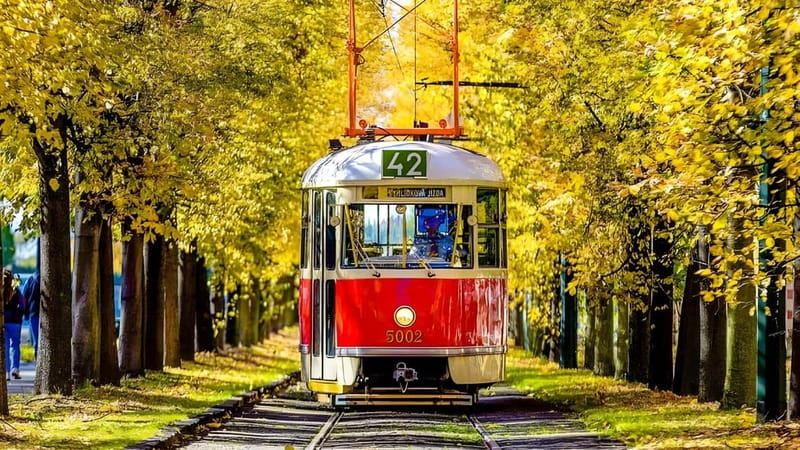 Prague: Full-Day Guided Tour of Prague in a Small-Group - Price and Logistics: is $47 a good deal for 5 hours?