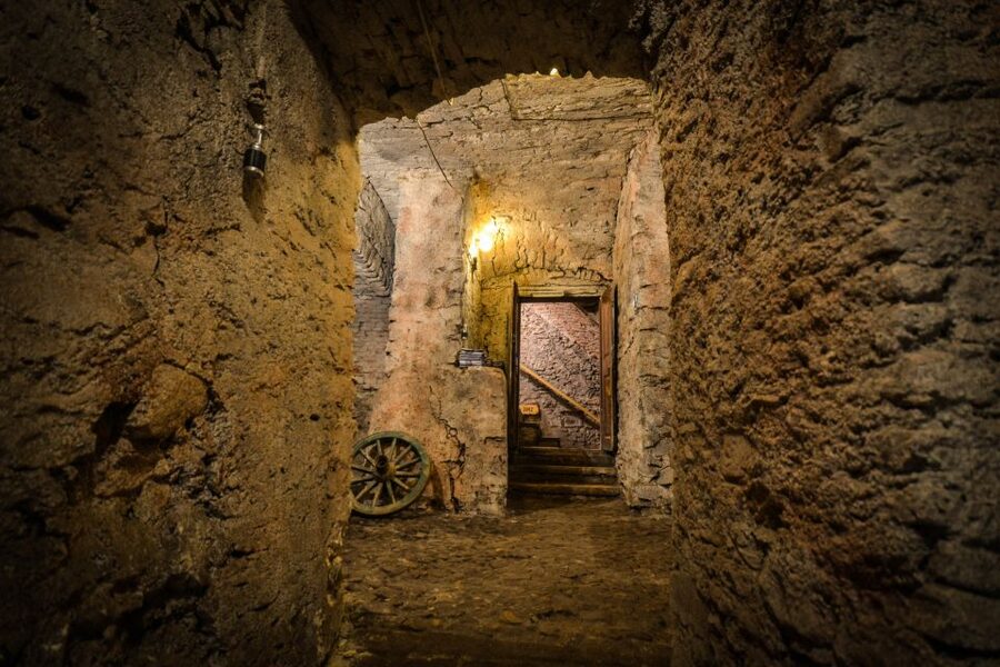 Prague: Ghosts, Legends, Medieval Underground & Dungeon Tour - Medieval Underground: plague doctor stories and Prague after floods