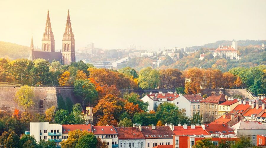 Prague: Guided tour to the historic fortress of Vyšehrad - What the ticket includes, and why that matters for value