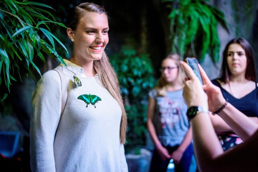 Prague: Papilonia Butterfly House - Papilonia Butterfly House Prague: what makes it different