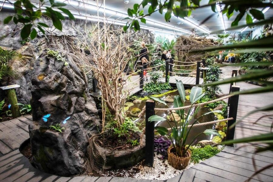 Prague: Papilonia Butterfly House - Entering the flight zone: how to behave so butterflies come close
