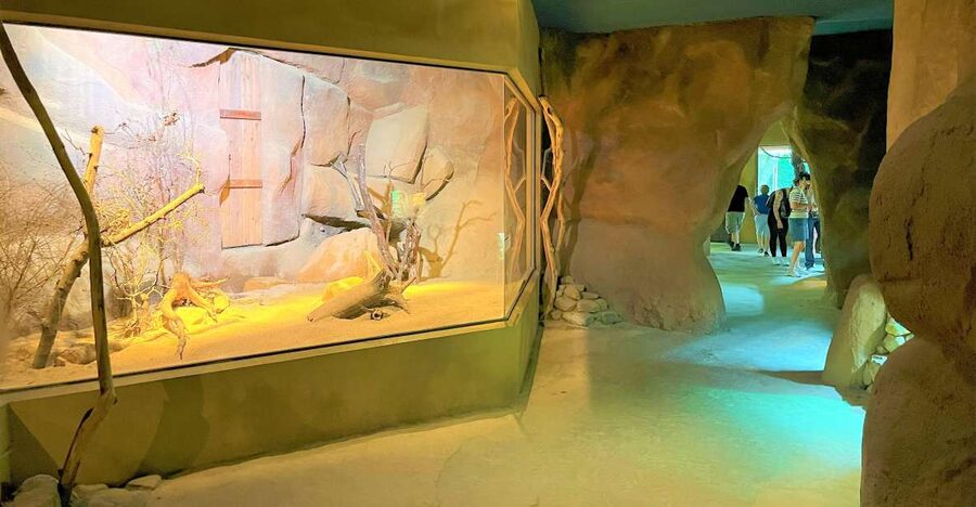 Prague: Prague Zoo Audio Guide with E-Ticket - Prague Zoo in Troja: why it deserves your time