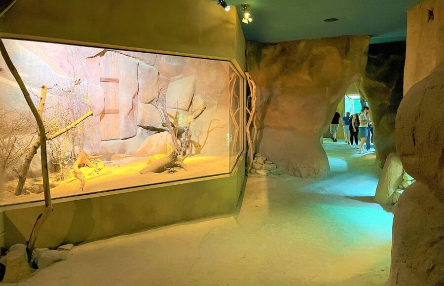 Prague: Prague Zoo Audio Guide with E-Ticket - The audio guide experience: history, pavilions, and stories that make walking easier