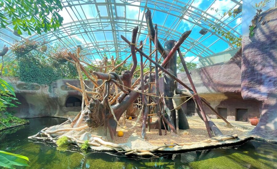 Prague: Prague Zoo Audio Guide with E-Ticket - What a typical day feels like, step by step