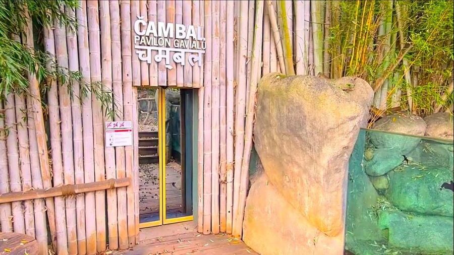 Prague: Prague Zoo Audio Guide with E-Ticket - Animal viewing plus comfort: what makes the visit feel easy