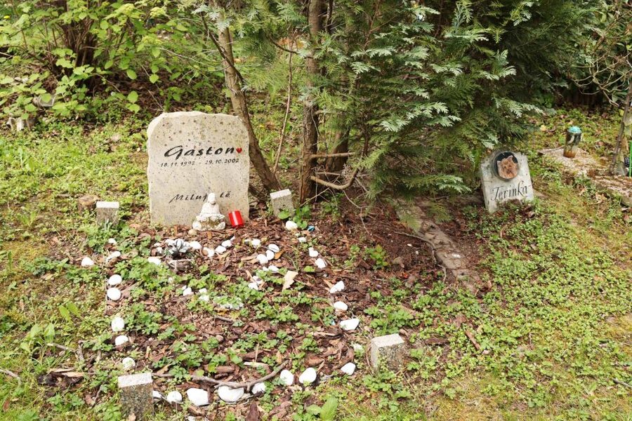 Prague: Psychiatric Hospital and Abandoned Cemetery Tour - FAQ