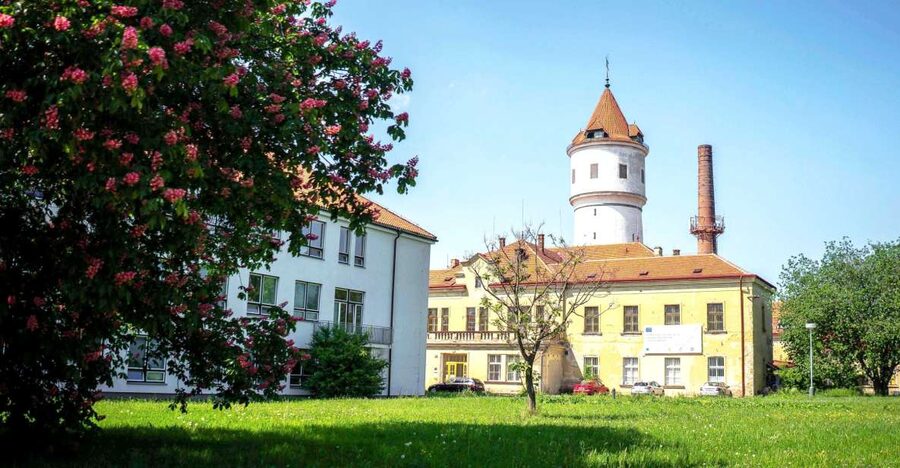 Prague: Psychiatric Hospital and Abandoned Cemetery Tour - Getting to Bohnice, the Prague stop that feels far from the center