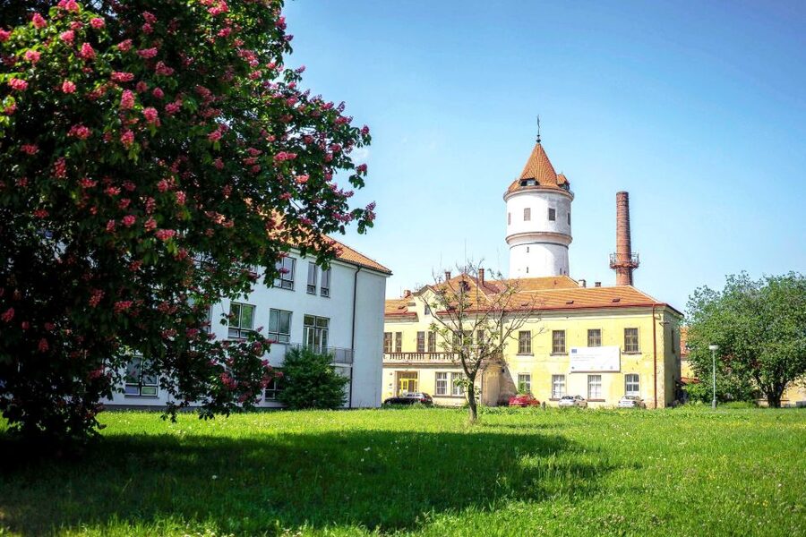 Prague: Psychiatric Hospital and Abandoned Cemetery Tour - Inside Bohnice: medieval ideas, modern methods, and shocking context