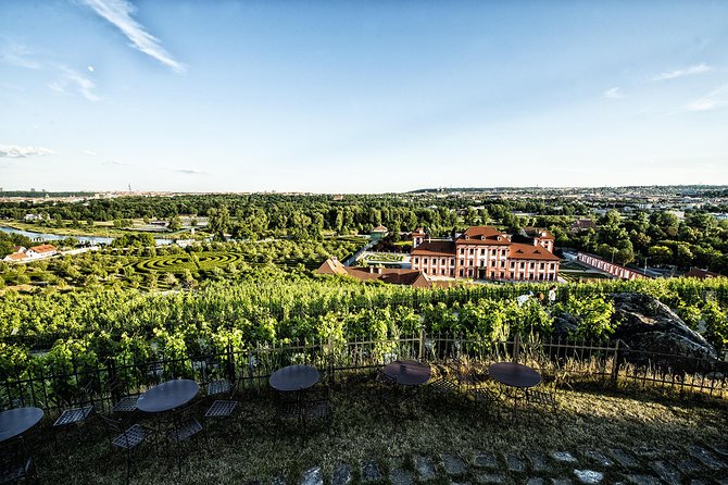 Prague´s Hidden Vineyards Private Tour - Stop 1: Grebovka Wine Cellar and the City Vineyard Welcome