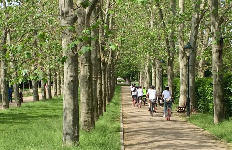 Prague: Stunning Viewpoints, Castle, City & Park E-Bike Tour - Start at Praha Bike and Get Set Up (Helmet, Wireless, and Bag Storage)