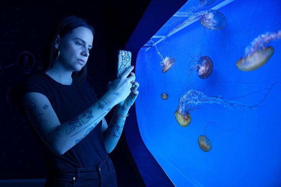 Prague: The World Of Jellyfish Entry Ticket w/ Drink - Price and time planning: is $16 good value for a one-day visit?