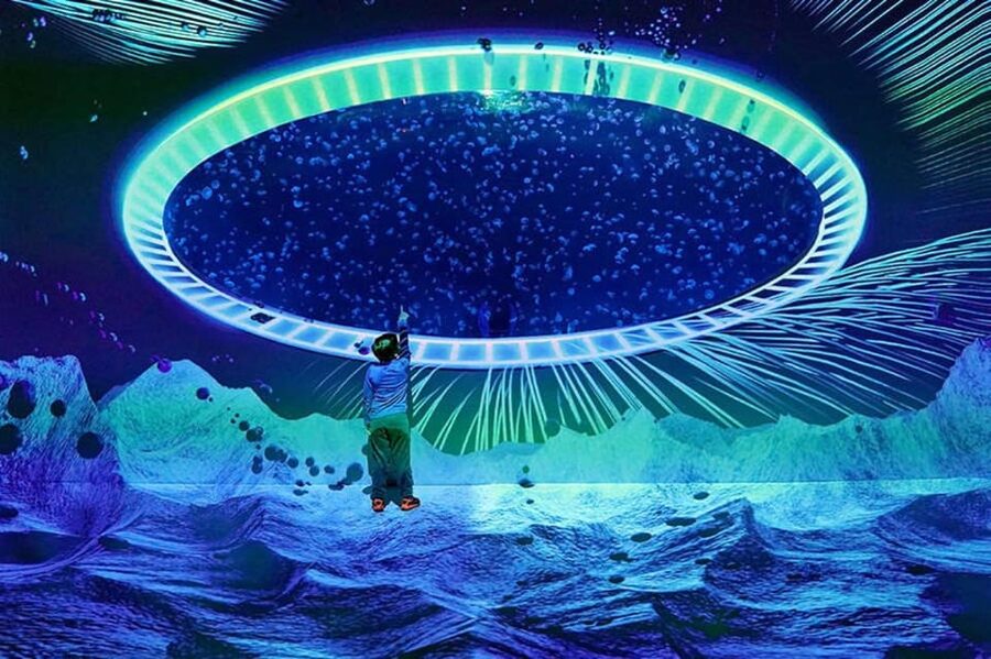 Prague: The World Of Jellyfish Entry Ticket w/ Drink - Walking the 38 aquariums and spotting 30+ jellyfish species