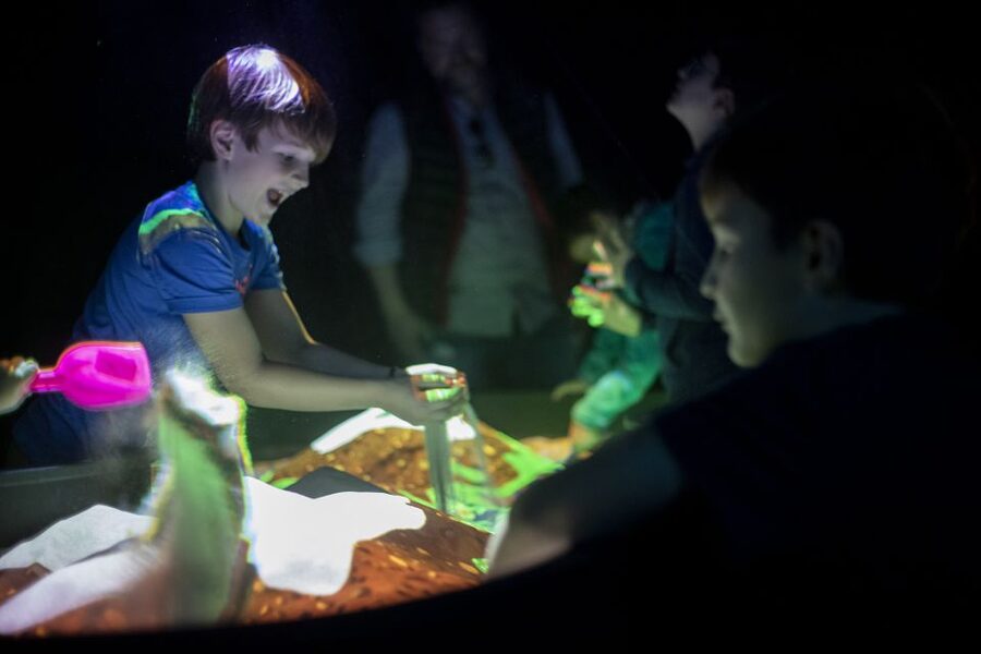Prague: Ticket to Audiovisual Light Art at Lumia Gallery - Key highlights to know before you go
