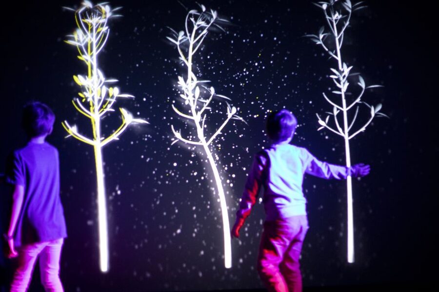 Prague: Ticket to Audiovisual Light Art at Lumia Gallery - Price and value: is $17 worth it?