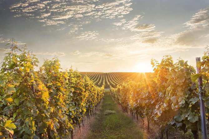Prague-Vienna One-Way Sightseeing Day Tour - Why this Prague-to-Vienna day feels smarter than trains