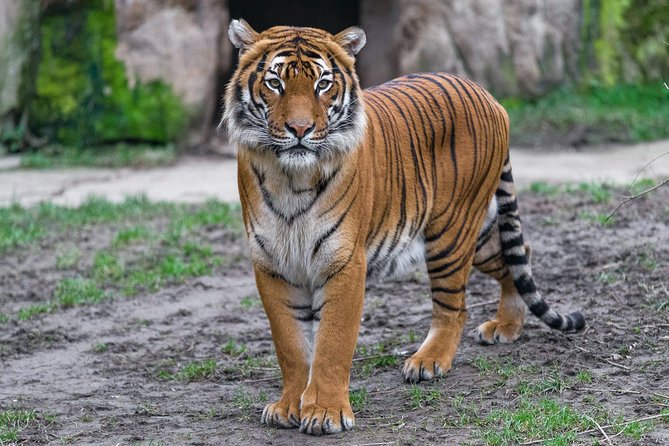 Prague Zoo Admission Ticket including Round Trip Transfer - Price and value: is $76 a fair deal?