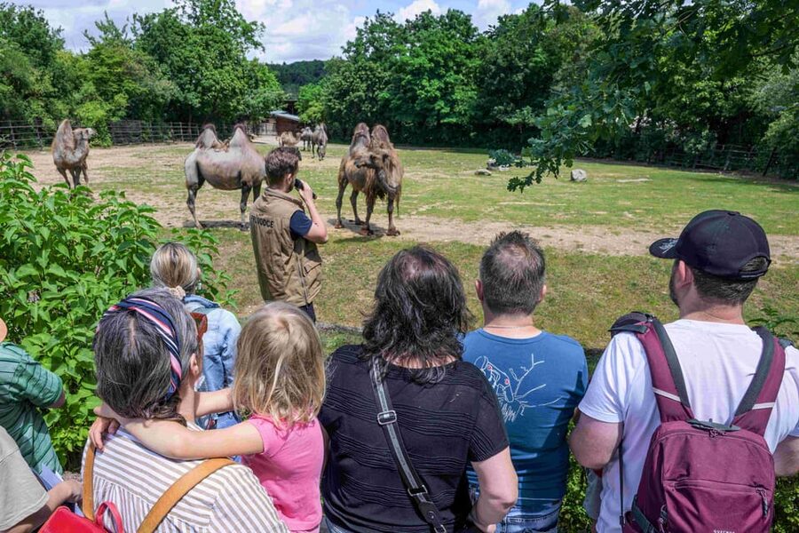 Prague Zoo: Skip-the-Line Entry Ticket - FAQ