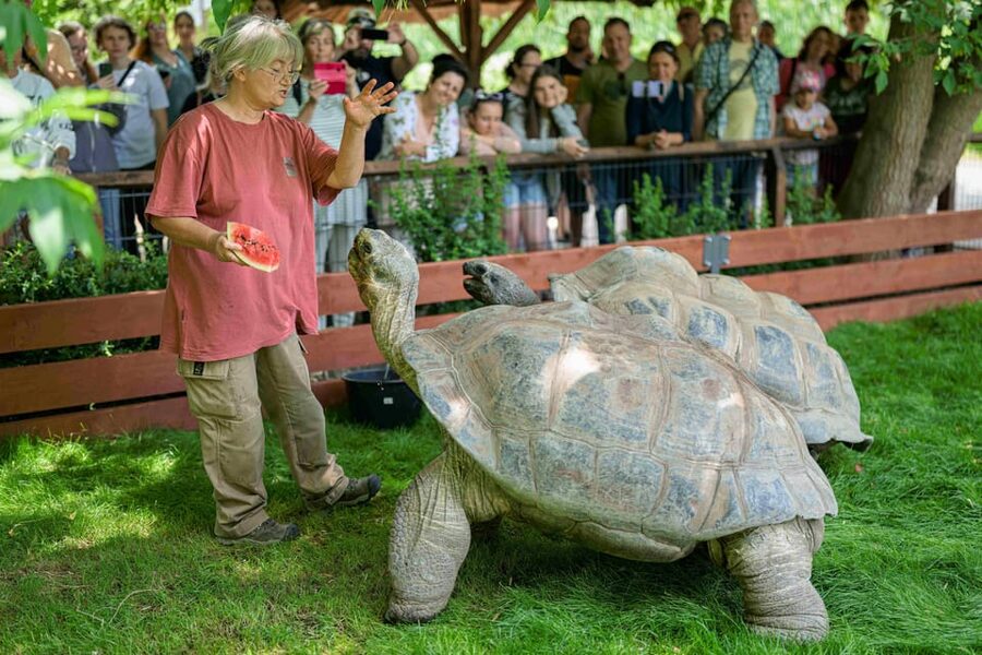 Prague Zoo: Skip-the-Line Entry Ticket - The 5,000-animal promise: how to plan your must-see route