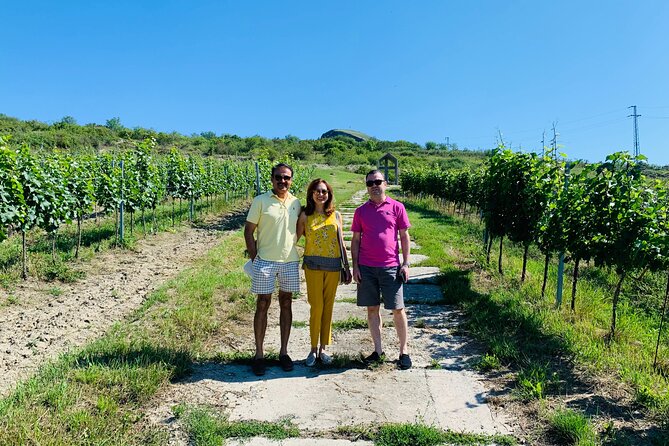 Private Bohemia Wine Tour from Prague with Gourmet Tastings - A Private Bohemia Wine Day That Actually Feels Like a Tour