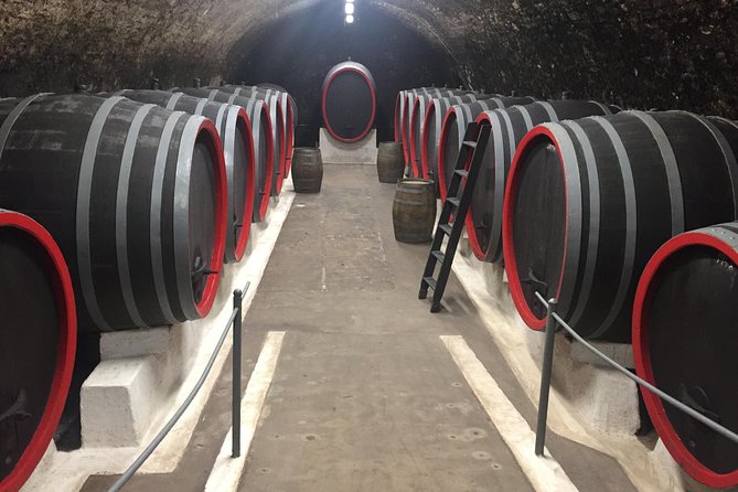 Private Bohemia Wine Tour from Prague with Gourmet Tastings - Stop 2: Vinařství Pod Radobýlem Under Volcanic Slopes and Modern Craft