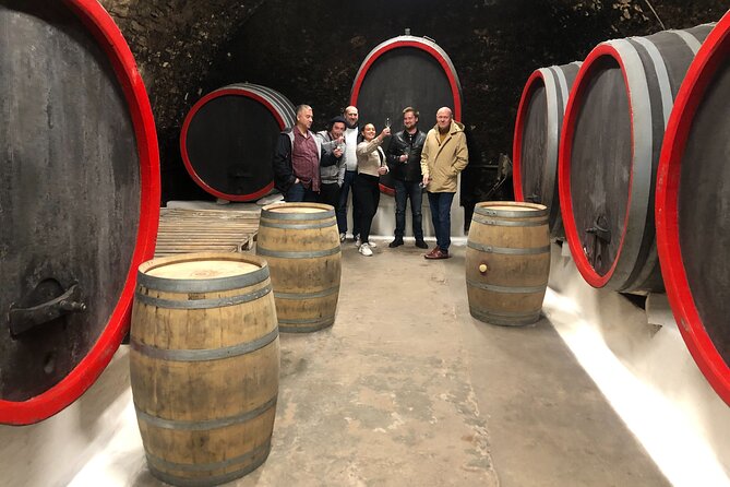 Private Bohemia Wine Tour from Prague with Gourmet Tastings - Food and Tastings: How to Enjoy the Day Without Getting Sloppy
