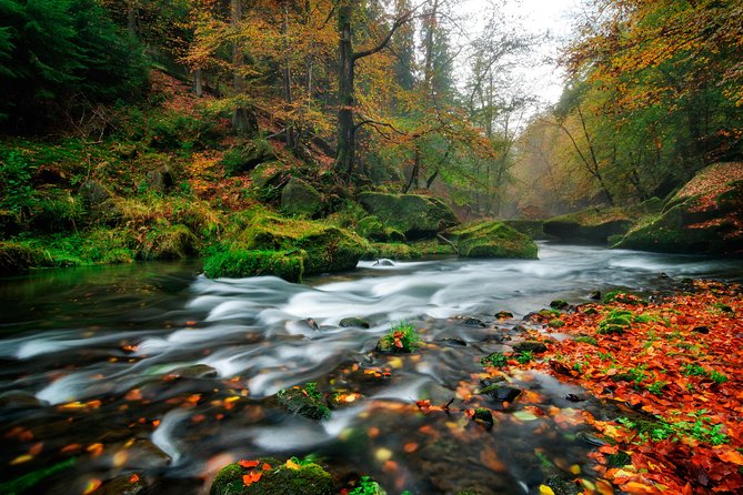 Private Custom Full day tour - Top Highlights of Bohemian & Saxon Switzerland - Kamenice Gorge river cruise, sandstone cliffs seen from the water