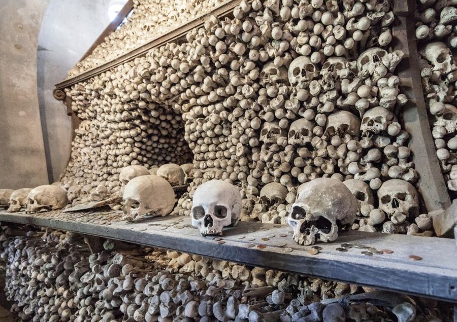 Private Guided Tour from Prague to UNESCO Kutna Hora - St. Barbara Cathedral: Gothic drama you can actually read