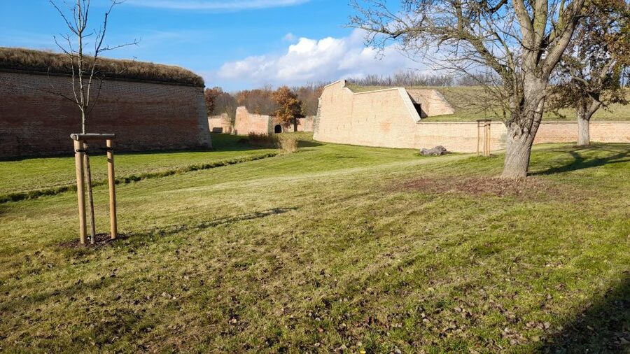 Private Half-Day Tour To Terezin Concentration Camp - Who this tour is best for