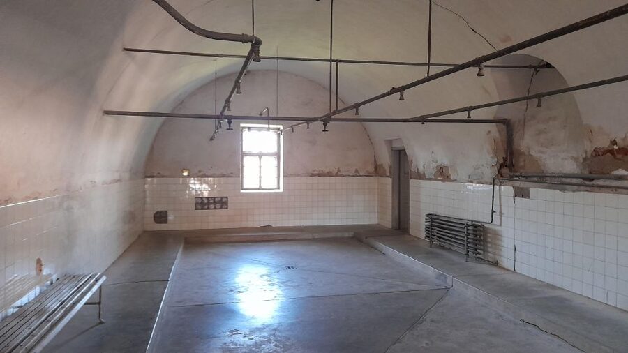 Private Half-Day Tour To Terezin Concentration Camp - The 5-hour format from Prague, pickup included