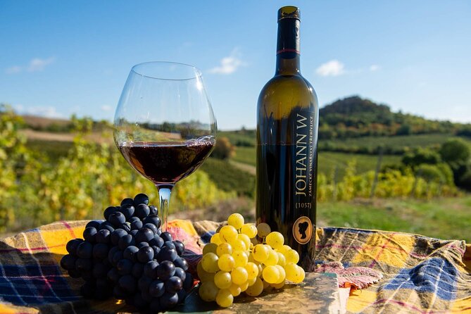 Private PICNIC in Bohemian Vineyards and Wine Tasting 4WD Tour - Off-road route in Bohemian vineyards and low mountains