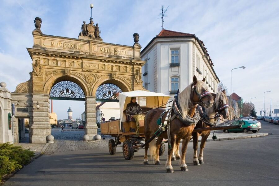 Private Pilsen & Pilsner Urquell Brewery Tour Prague - Who This Private Tour Suits Best