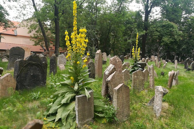 Private Stories of Jewish Prague Walking Tour - Pinkas Synagogue: memorial work you can’t rush