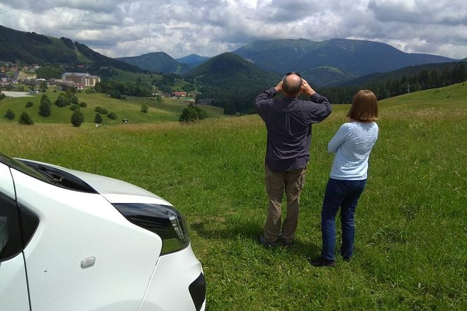 Private transfer in a Sanitized Car Prague to Vienna with 2h stop Cesky Krumlov - Should you book this transfer?