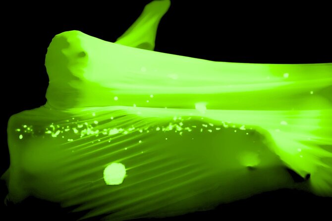 Underground Black Light Theatre Interactive Show in Prague - The one-stop evening plan, timed for an 8:30 pm start