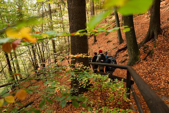 VIP Best Reviews: Bohemian & Saxon Switzerland from Prague - Czech lunch at a regional restaurant: more than a break