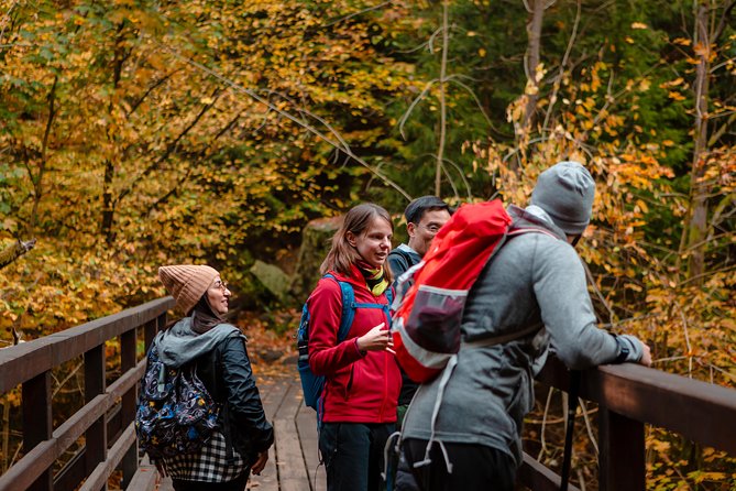 VIP Best Reviews: Bohemian & Saxon Switzerland from Prague - Pravčická Gate and Sokoli hnízdo: when the hike is worth it