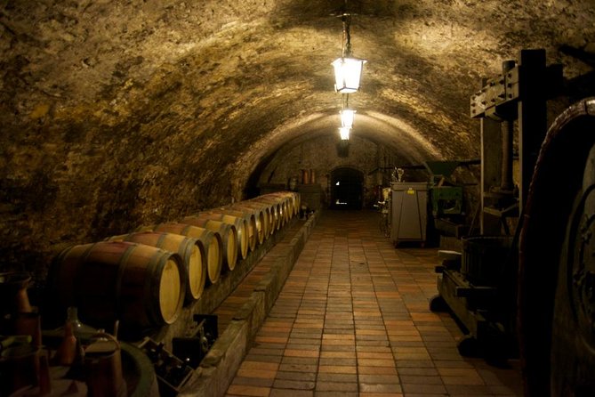 Wine Tasting Day Trip from Prague to Melnik - Key Points Worth Your Time